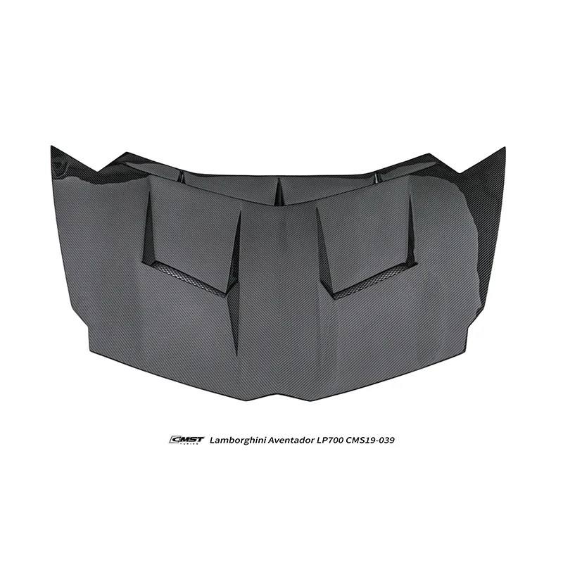 Lamborghini Aventador LP700 11-18 Dry Carbon Widebody Kit — component 7 of 11