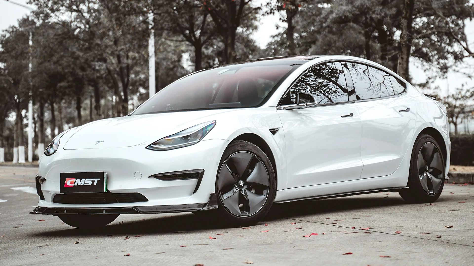 Tesla Model 3 — Tesla Model 3 19-23 B