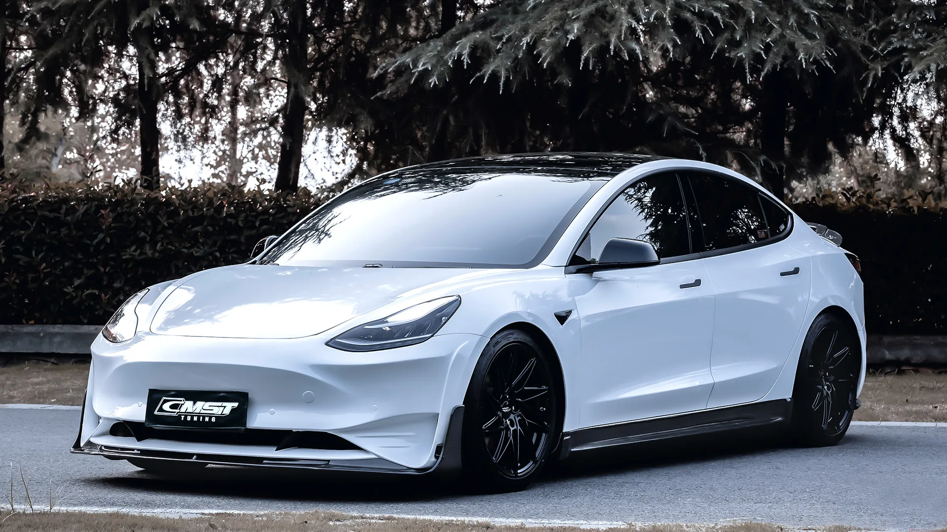 Tesla Model 3 — Tesla Model 3 19-23 LB