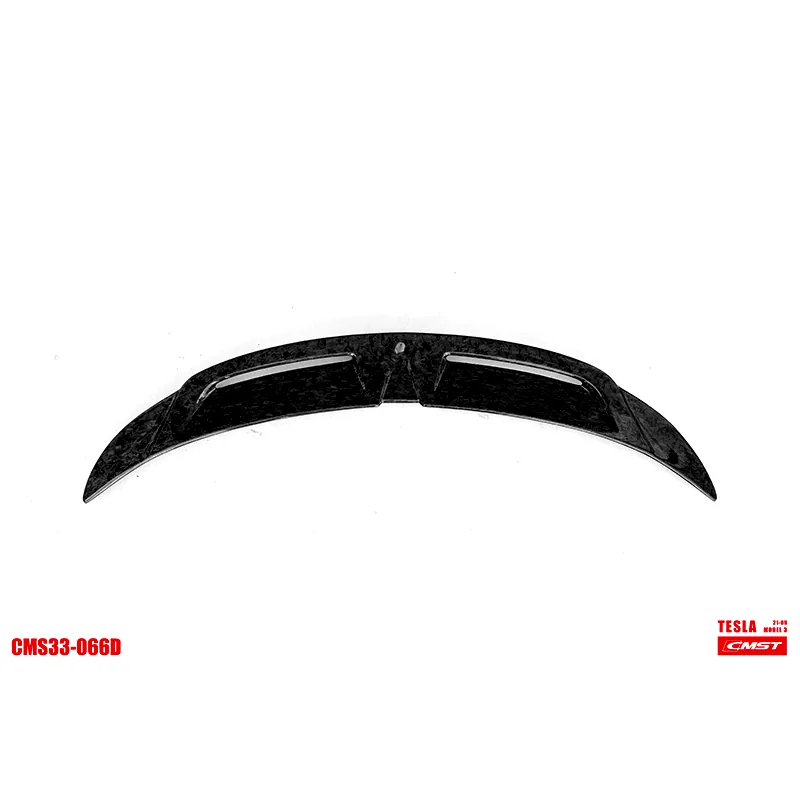 Tesla Model 3 19-23 LB Carbon & FRP Body Kit — component 1 of 8