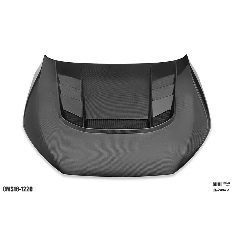 Audi A3 & S3 21-22 Dry Carbon Widebody Kit — component 6 of 9