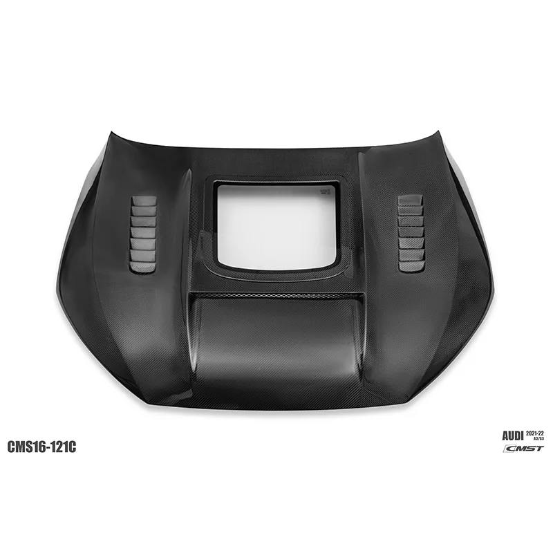 Audi A3 & S3 21-22 Dry Carbon Widebody Kit — component 7 of 9