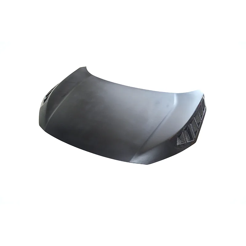Honda Civic 10 Carbon & FRP Widebody Kit — component 13 of 19