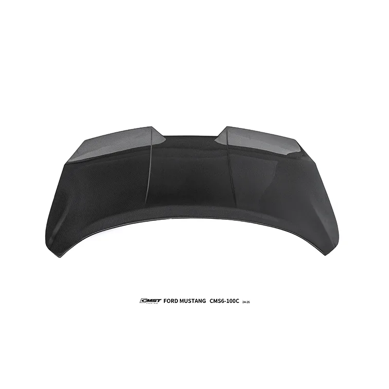Ford Mustang 24-26 B Carbon Fiber Widebody Kit — component 16 of 19